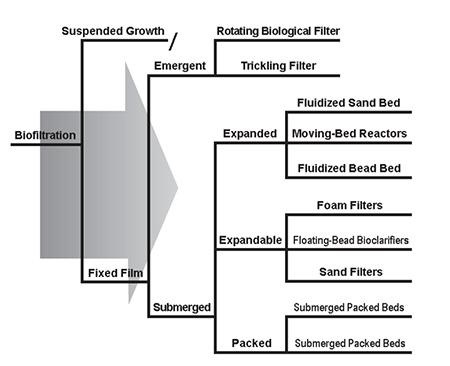 media biofilter 3